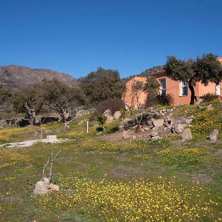 Finca El Rabilargo Arroyomolinos de Montánchez Екстериор снимка