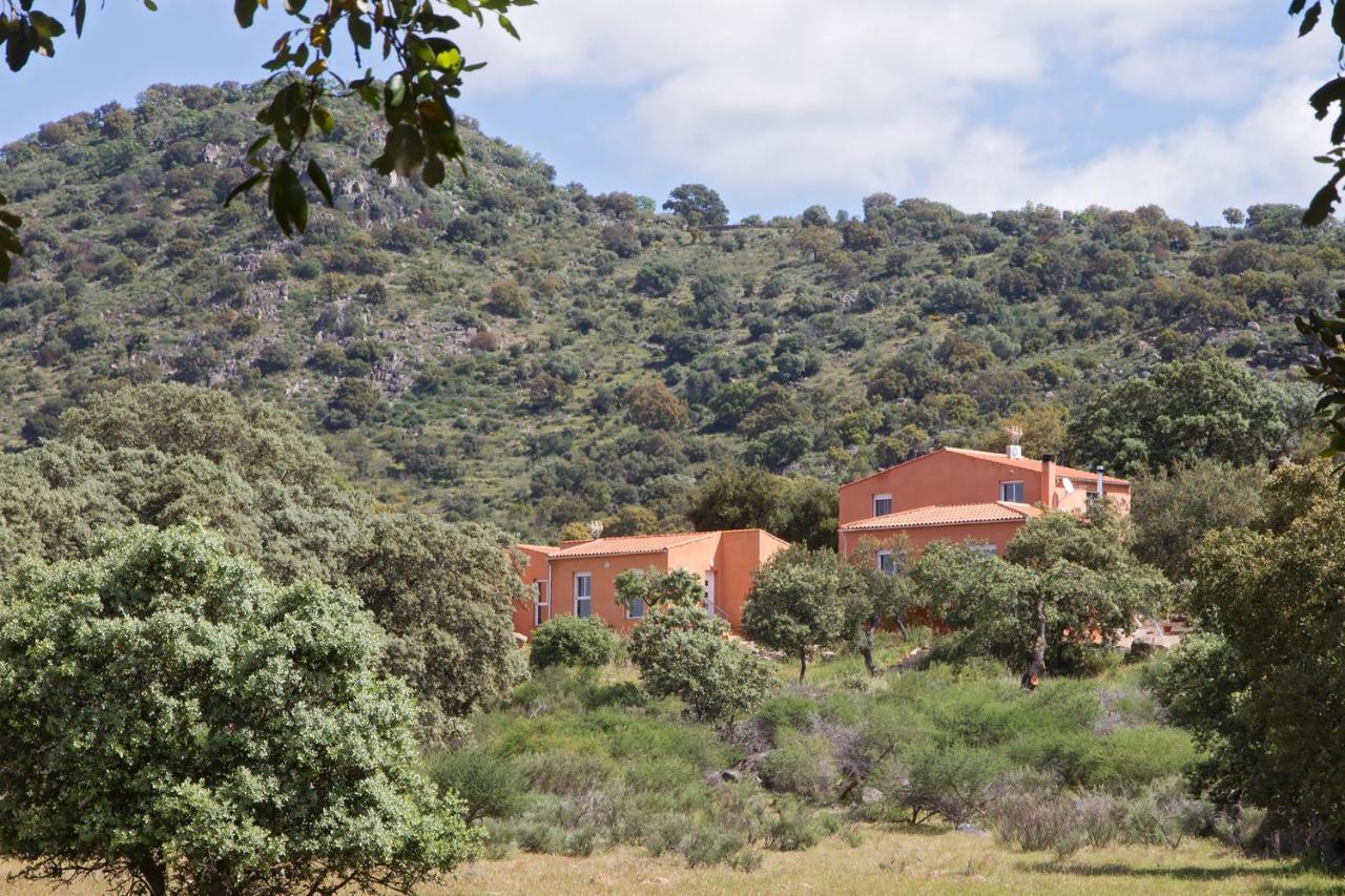Finca El Rabilargo Arroyomolinos de Montánchez Стая снимка